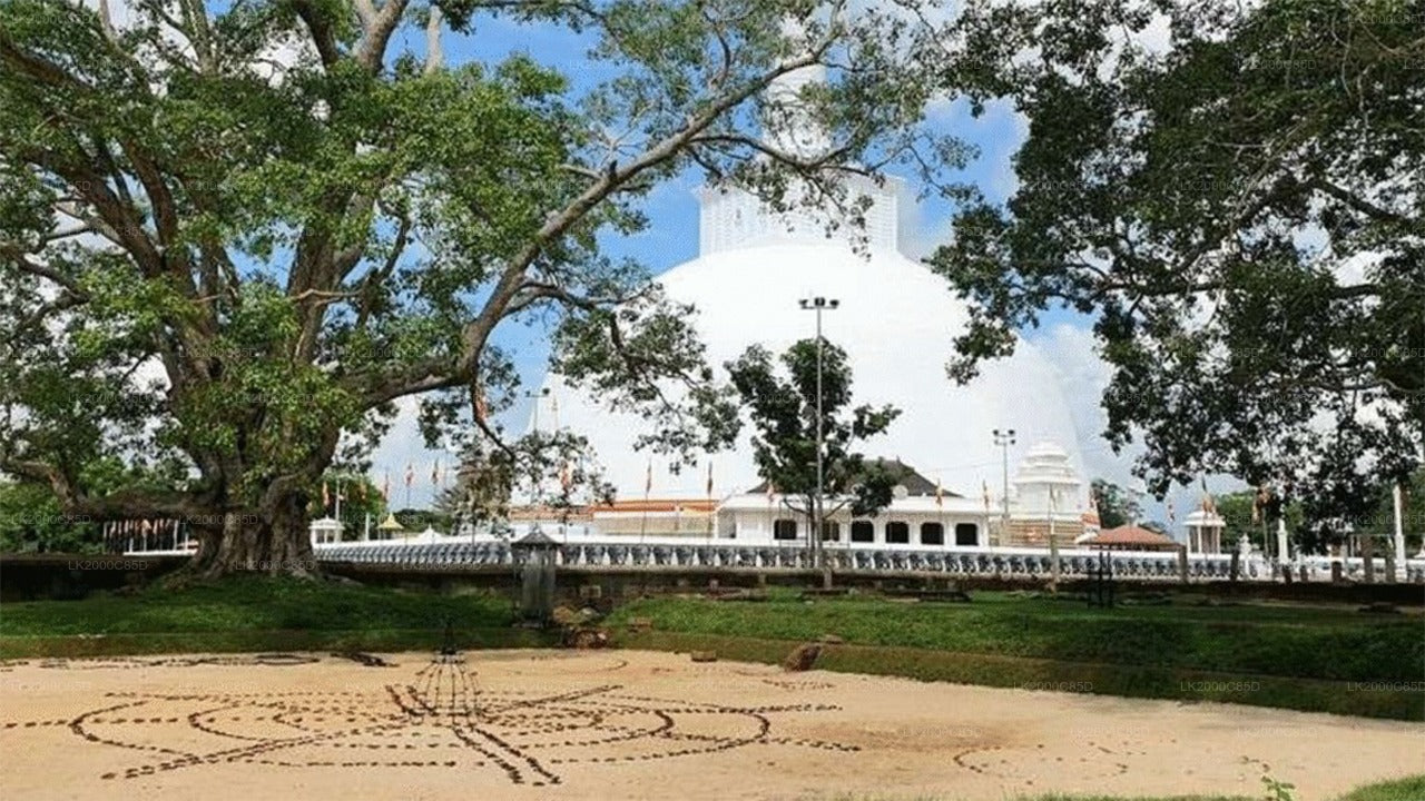 ප්‍රවේශ පත්‍ර සමඟ අනුරාධපුර පූජා භූමි මාර්ගෝපදේශක චාරිකාව