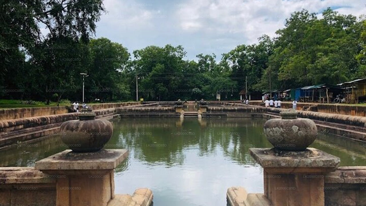 ප්‍රවේශ පත්‍ර සමඟ අනුරාධපුර පූජා භූමි මාර්ගෝපදේශක චාරිකාව