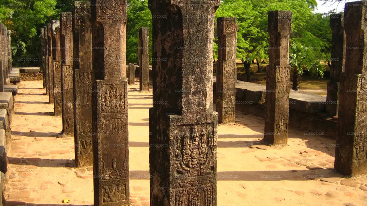 පොළොන්නරුව පුරාණ නගර මාර්ගෝපදේශක චාරිකාව - ප්‍රවේශ පත්‍ර සමඟ