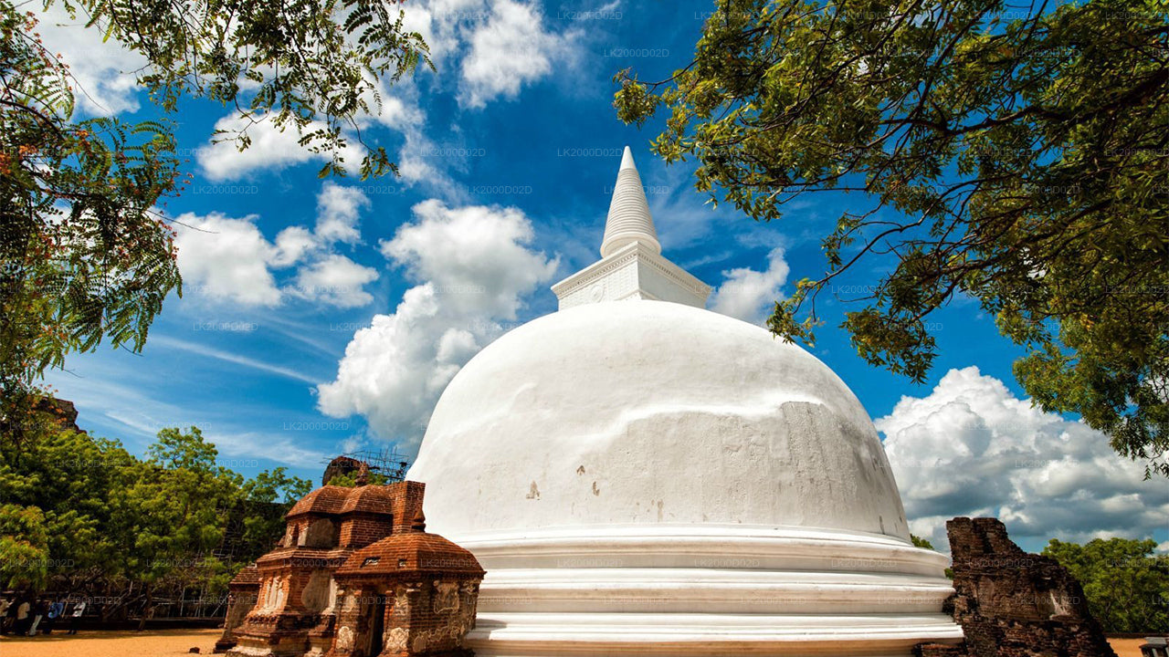 පොළොන්නරුව පුරාණ නගර මාර්ගෝපදේශක චාරිකාව - ප්‍රවේශ පත්‍ර සමඟ