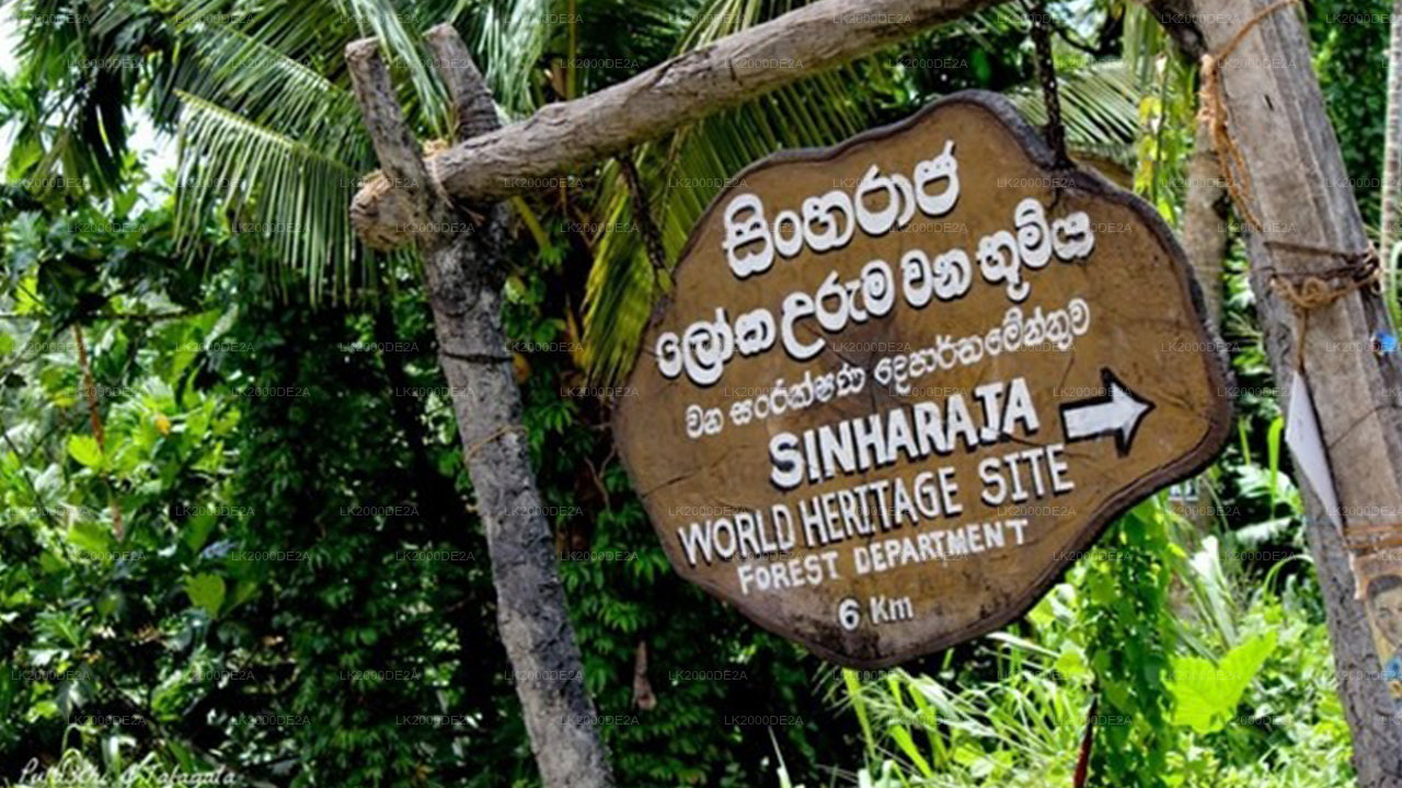 සිංහරාජ වන රක්ෂිතය නැරඹීමට පිවිසුම් ප්‍රවේශපත්‍ර සමඟ මාර්ගෝපදේශක චාරිකාව