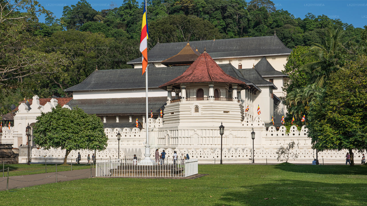 දේශීය මාර්ගෝපදේශකයින්