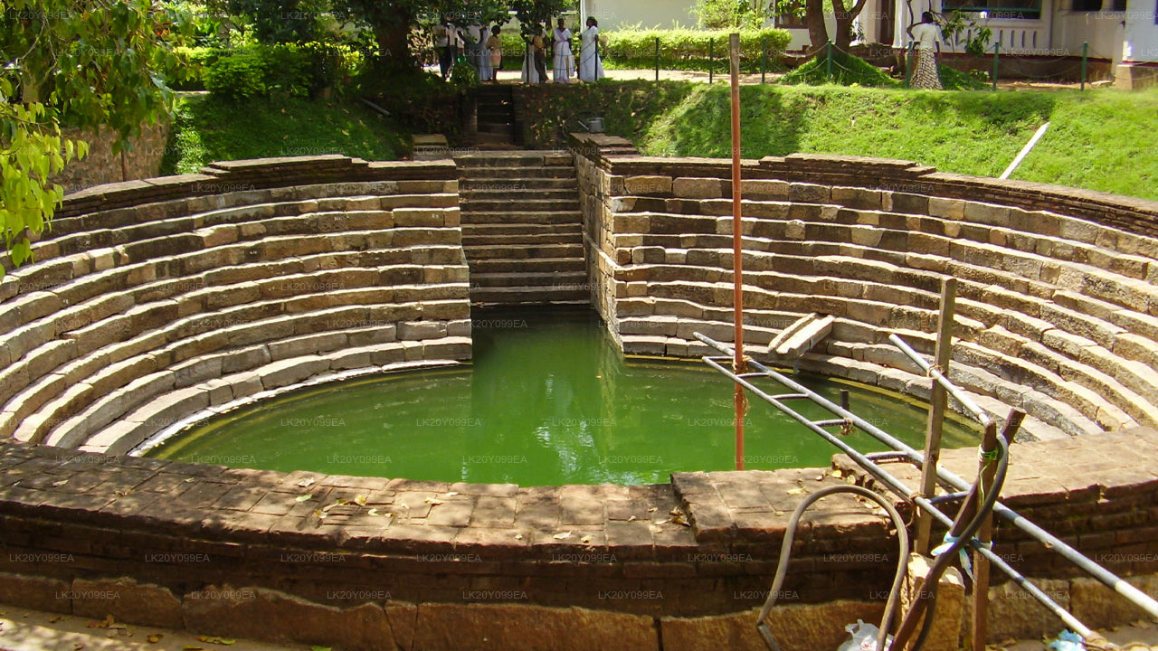 දේශීය මාර්ගෝපදේශකයින්