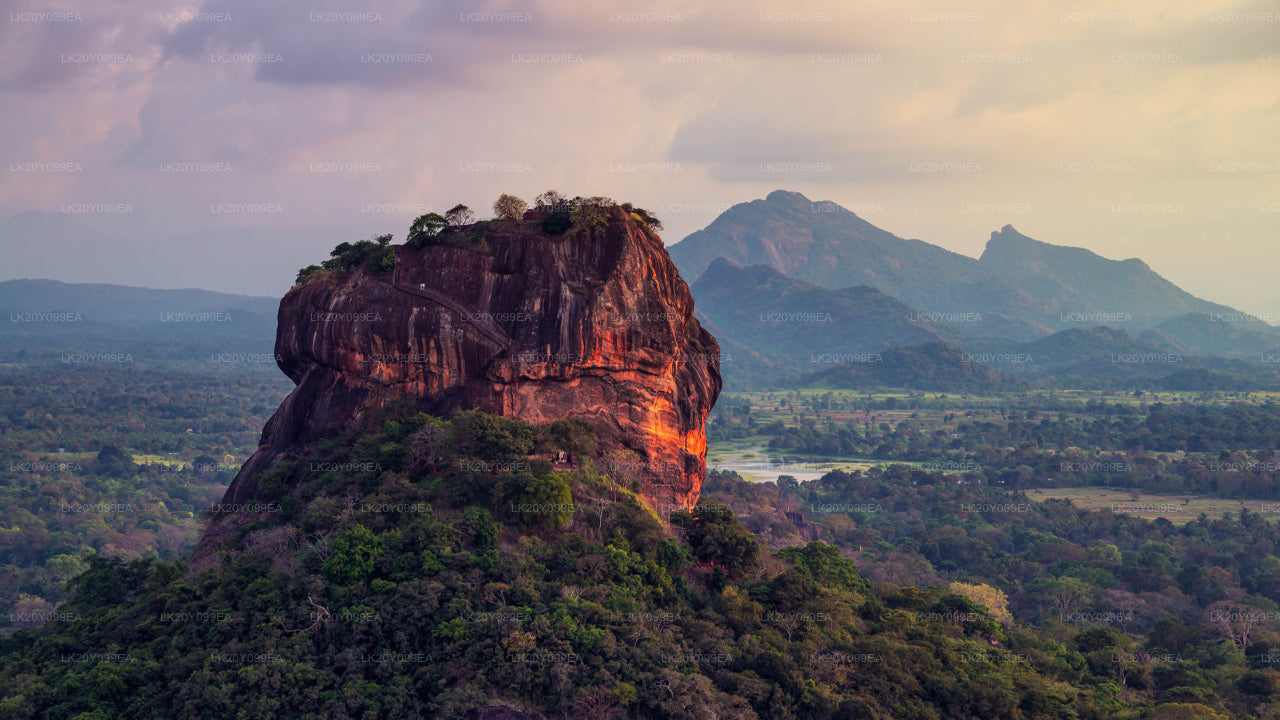 දේශීය මාර්ගෝපදේශකයින්