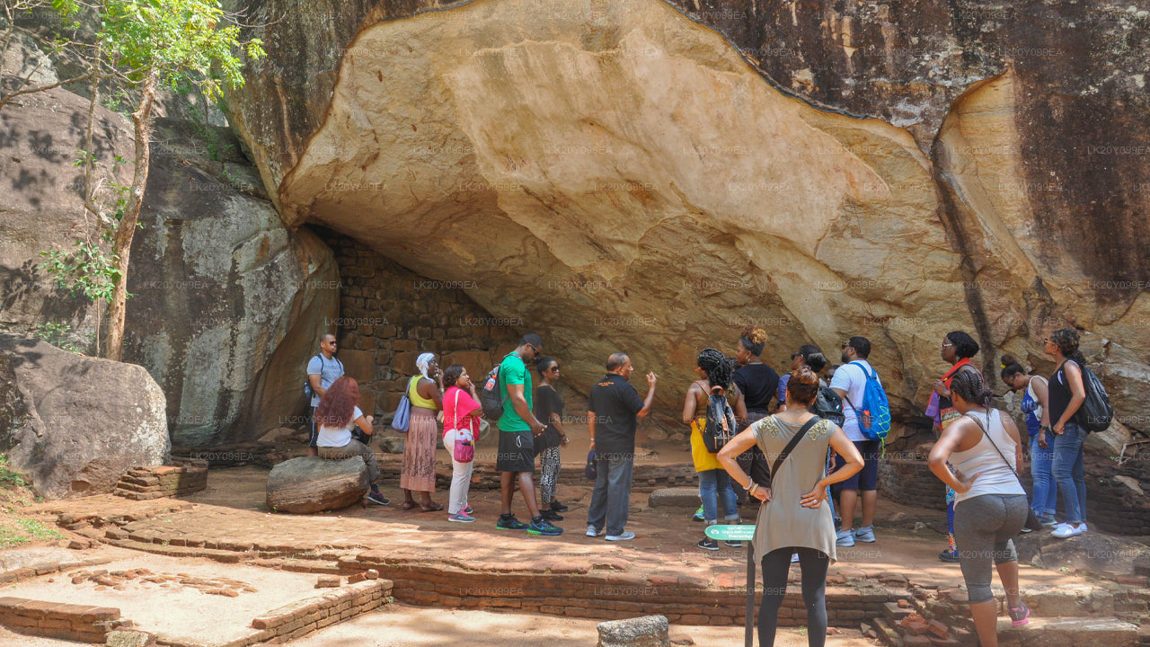 දේශීය මාර්ගෝපදේශකයින්