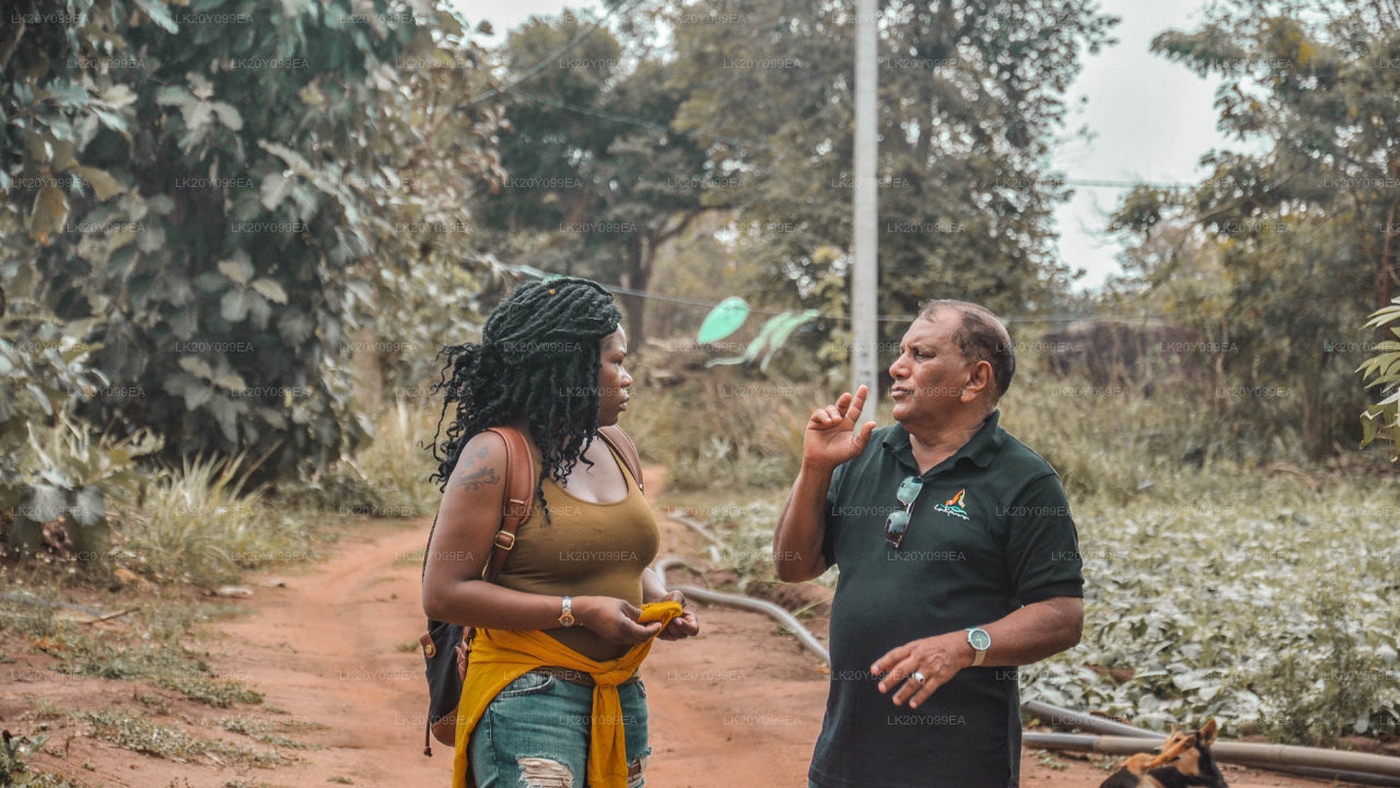 දේශීය මාර්ගෝපදේශකයින්