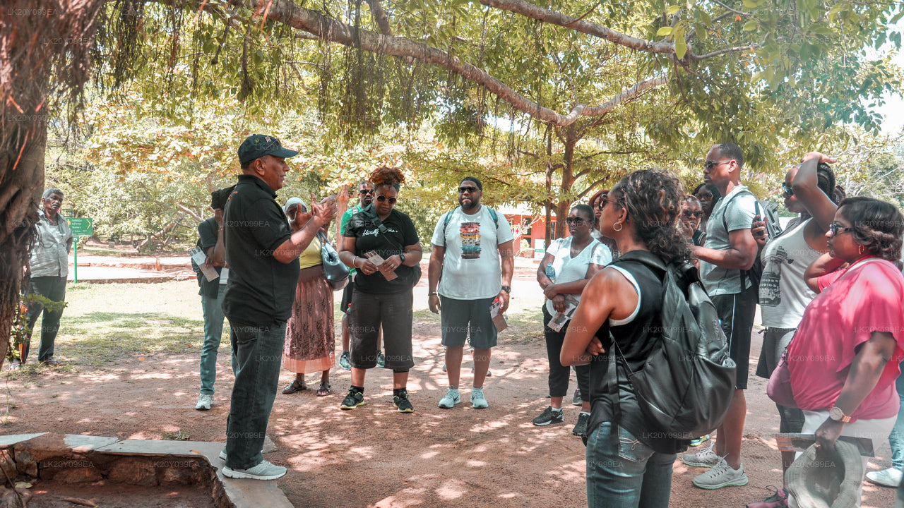 දේශීය මාර්ගෝපදේශකයින්