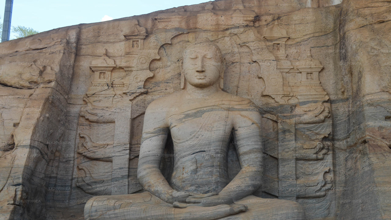 දේශීය මාර්ගෝපදේශකයින්