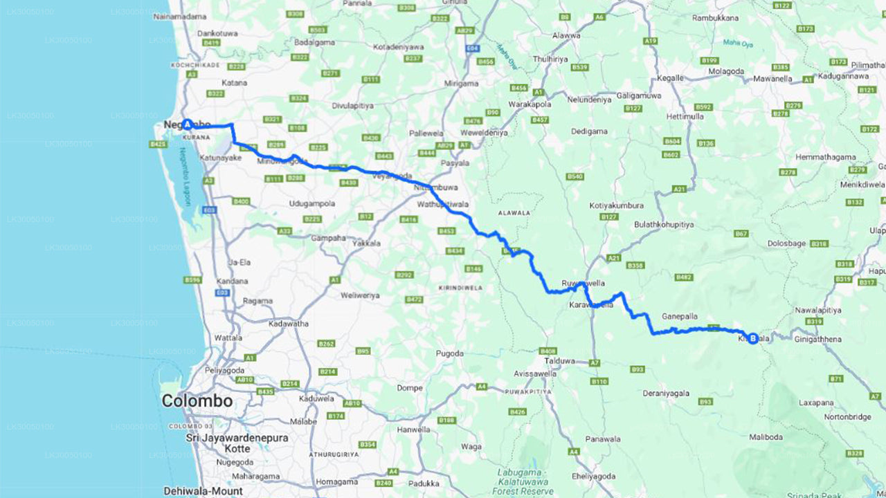 මීගමුව සිට සුදු ජල රාෆ්ටින්