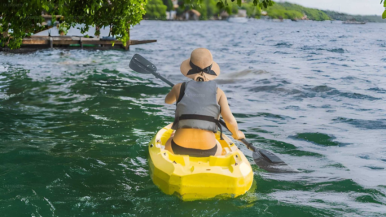 පාසිකුඩා සිට කලපු කයාකිං