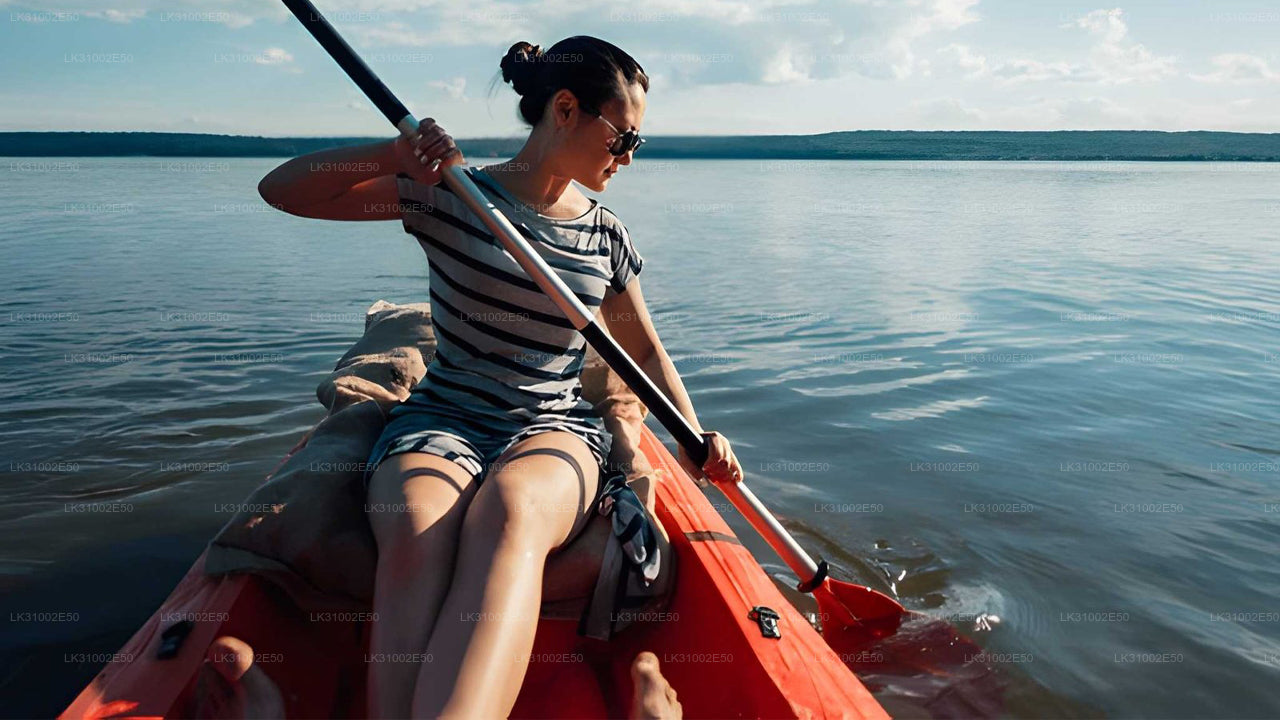 පාසිකුඩා සිට කලපු කයාකිං