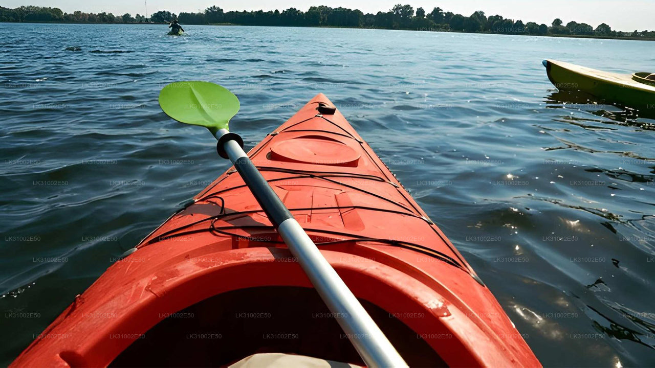 පාසිකුඩා සිට කලපු කයාකිං