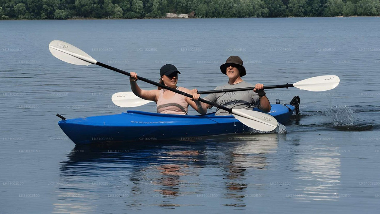 පාසිකුඩා සිට කලපු කයාකිං