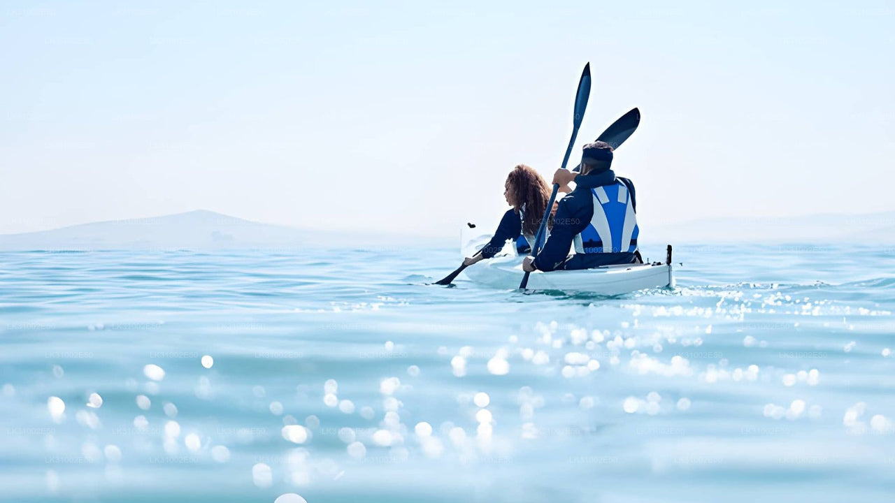 පාසිකුඩා සිට කලපු කයාකිං