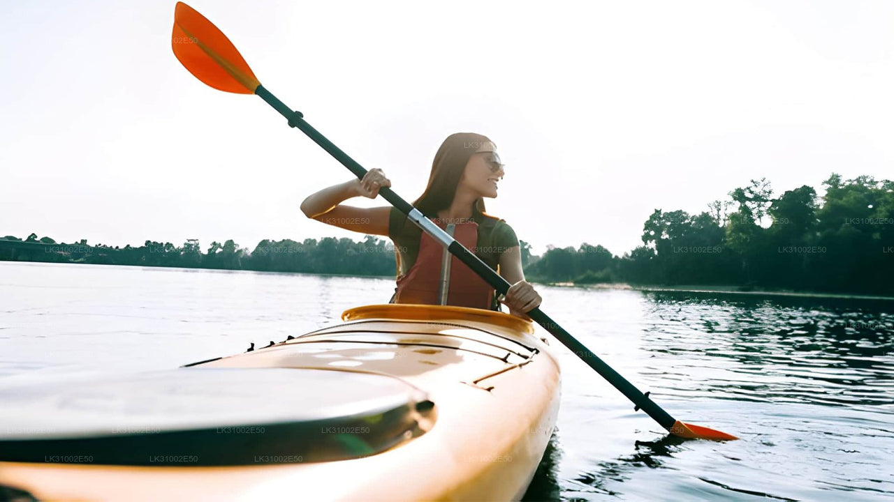 පාසිකුඩා සිට කලපු කයාකිං