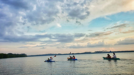 මීගමුව සිට කලපුවේ කයාකිං චාරිකාව