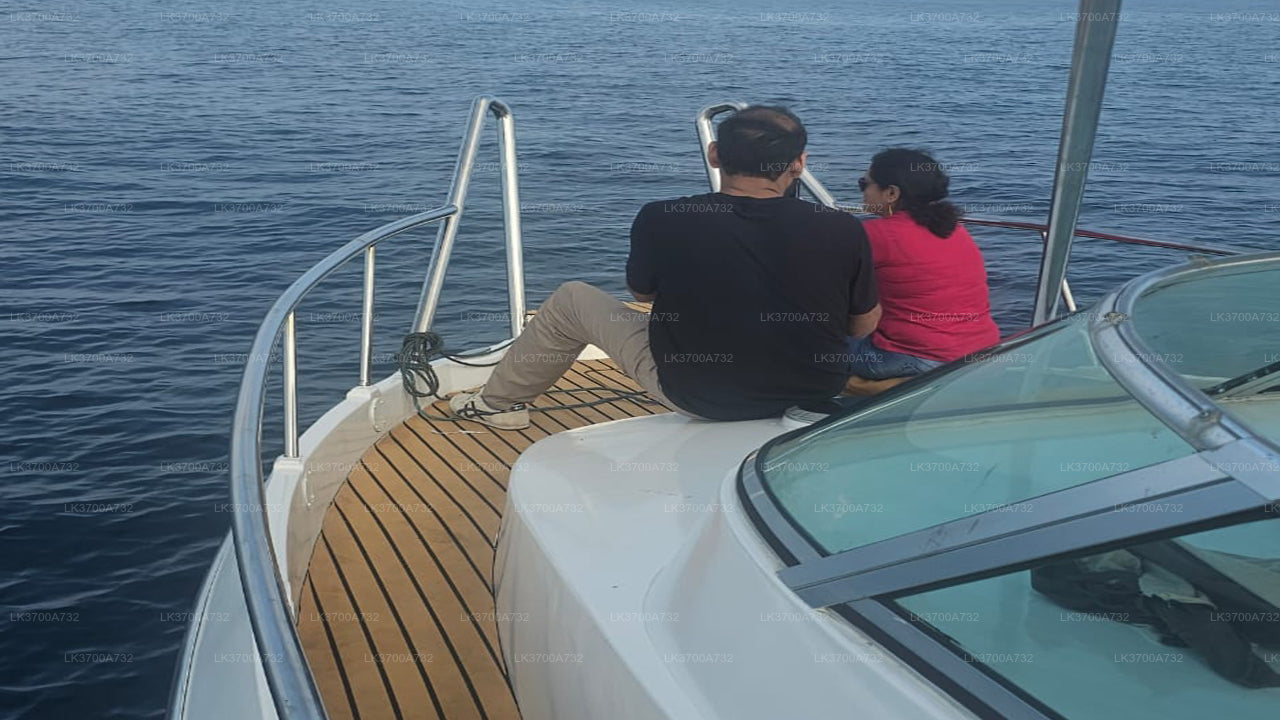 මිරිස්ස සිට සුඛෝපභෝගී වේග බෝට්ටුවකින් තල්මසුන් නැරඹීමේ පෞද්ගලික චාරිකාව