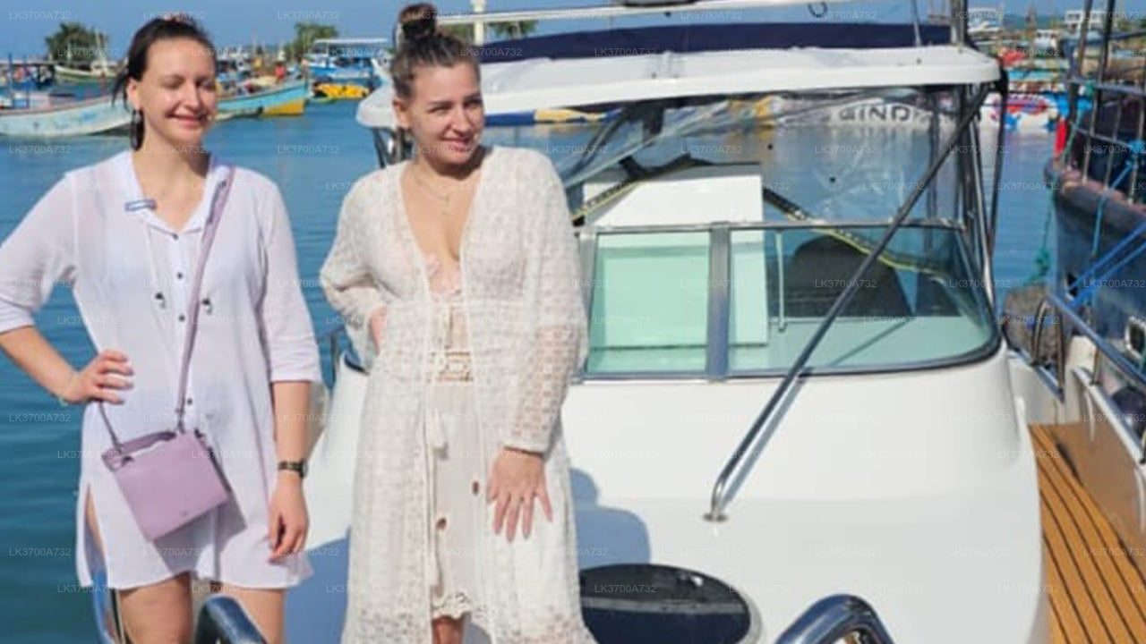 මිරිස්ස සිට සුඛෝපභෝගී වේග බෝට්ටුවකින් තල්මසුන් නැරඹීමේ පෞද්ගලික චාරිකාව