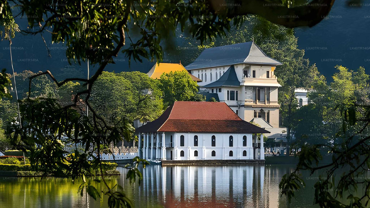 ඇල්ල සිට මහනුවර දක්වා: දුම්රියෙන්, කාර් එකෙන් හෝ වෑන් රථයකින් යන දර්ශනීය ගමනක්