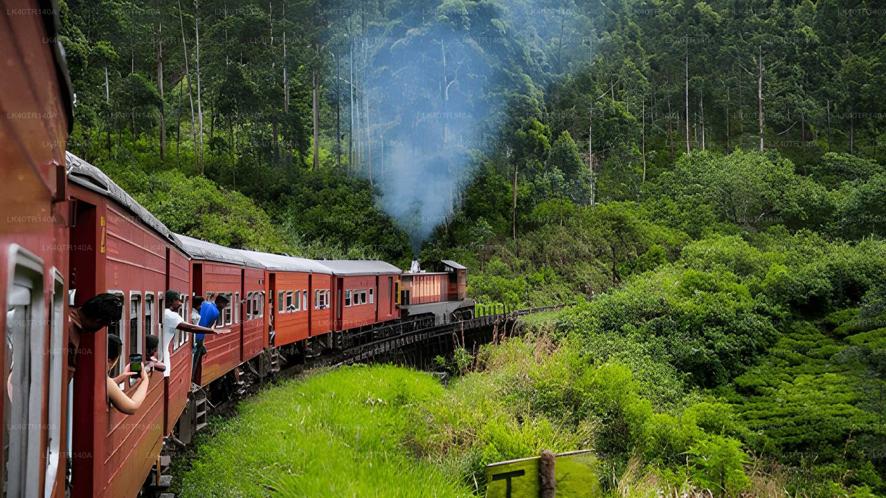 Red train traveling through a lush green forest