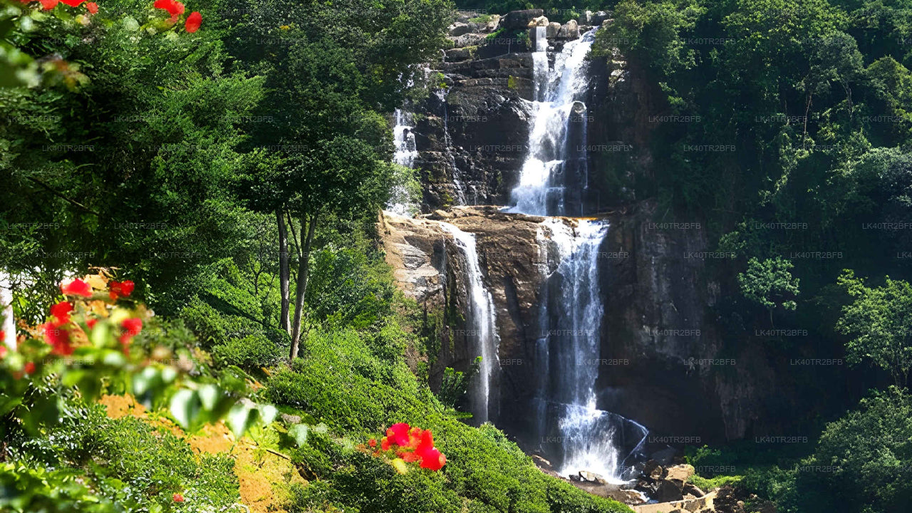 Private Transfer to Nuwara Eliya from Colombo with Scenic Stops