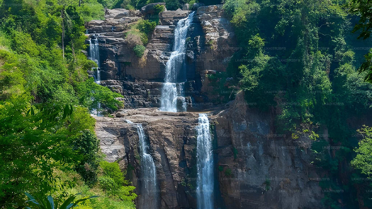 Private Transfer to Nuwara Eliya from Colombo with Scenic Stops