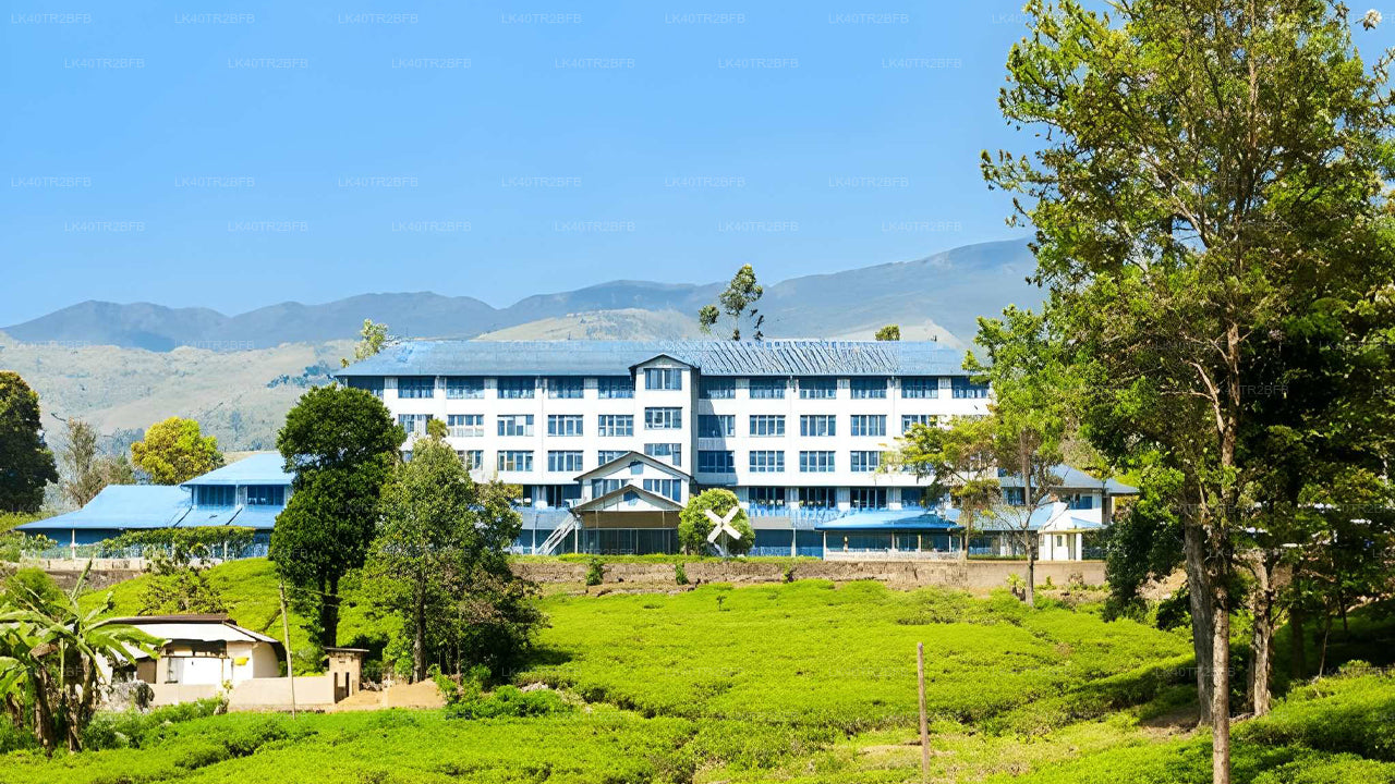 Private Transfer to Nuwara Eliya from Colombo with Scenic Stops