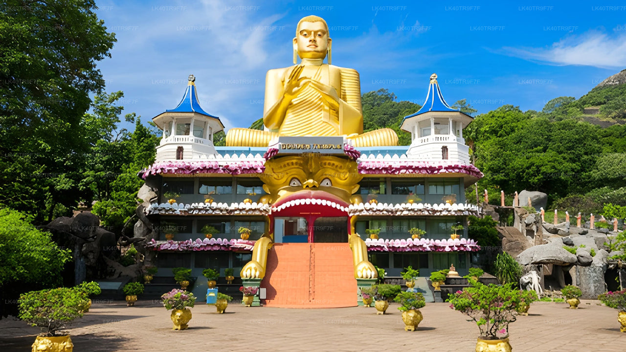 කොළඹ සිට සීගිරිය දක්වා පෞද්ගලික මාරුව සමග දර්ශන නැරඹීමේ නැවතුම් පහසුකම් සහිතව