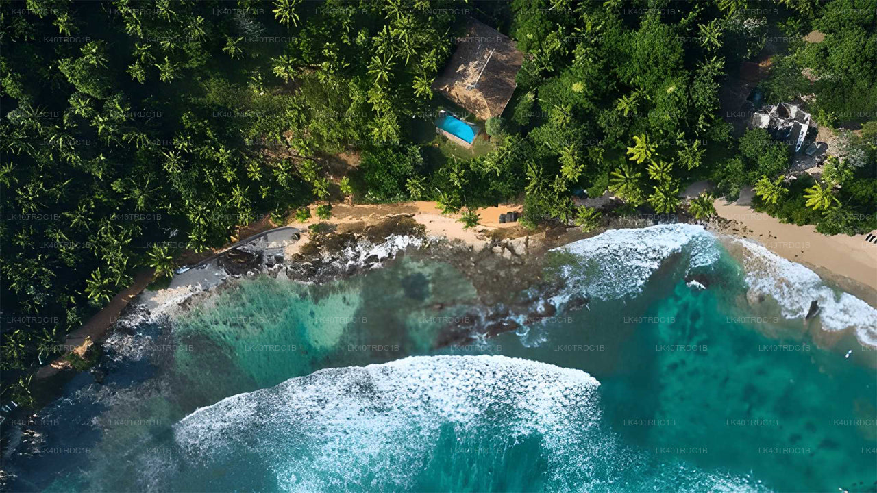 දර්ශන නැරඹීමේ නැවතුම් සහිතව මීගමුවේ සිට හිරිකැටිය දක්වා පුද්ගලික මාරුව