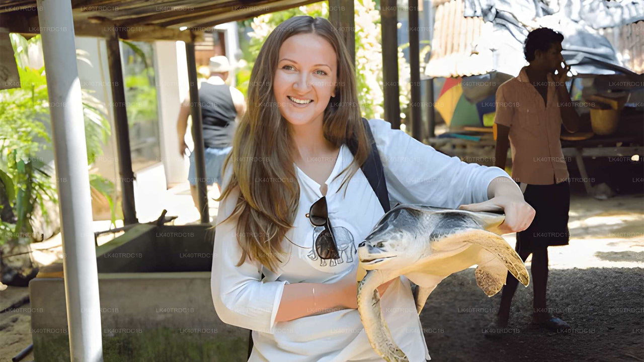 දර්ශන නැරඹීමේ නැවතුම් සහිතව මීගමුවේ සිට හිරිකැටිය දක්වා පුද්ගලික මාරුව