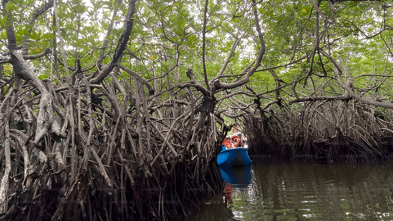 දර්ශන නැරඹීමේ නැවතුම් සහිතව මීගමුවේ සිට හිරිකැටිය දක්වා පුද්ගලික මාරුව