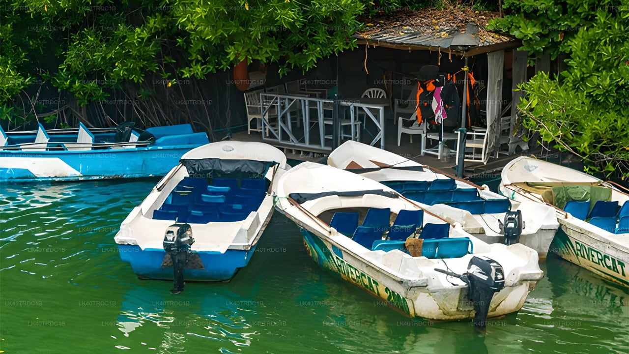 දර්ශන නැරඹීමේ නැවතුම් සහිතව මීගමුවේ සිට හිරිකැටිය දක්වා පුද්ගලික මාරුව