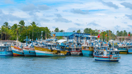 දර්ශන නැරඹීමේ නැවතුම් සහිතව මීගමුවේ සිට හිරිකැටිය දක්වා පුද්ගලික මාරුව