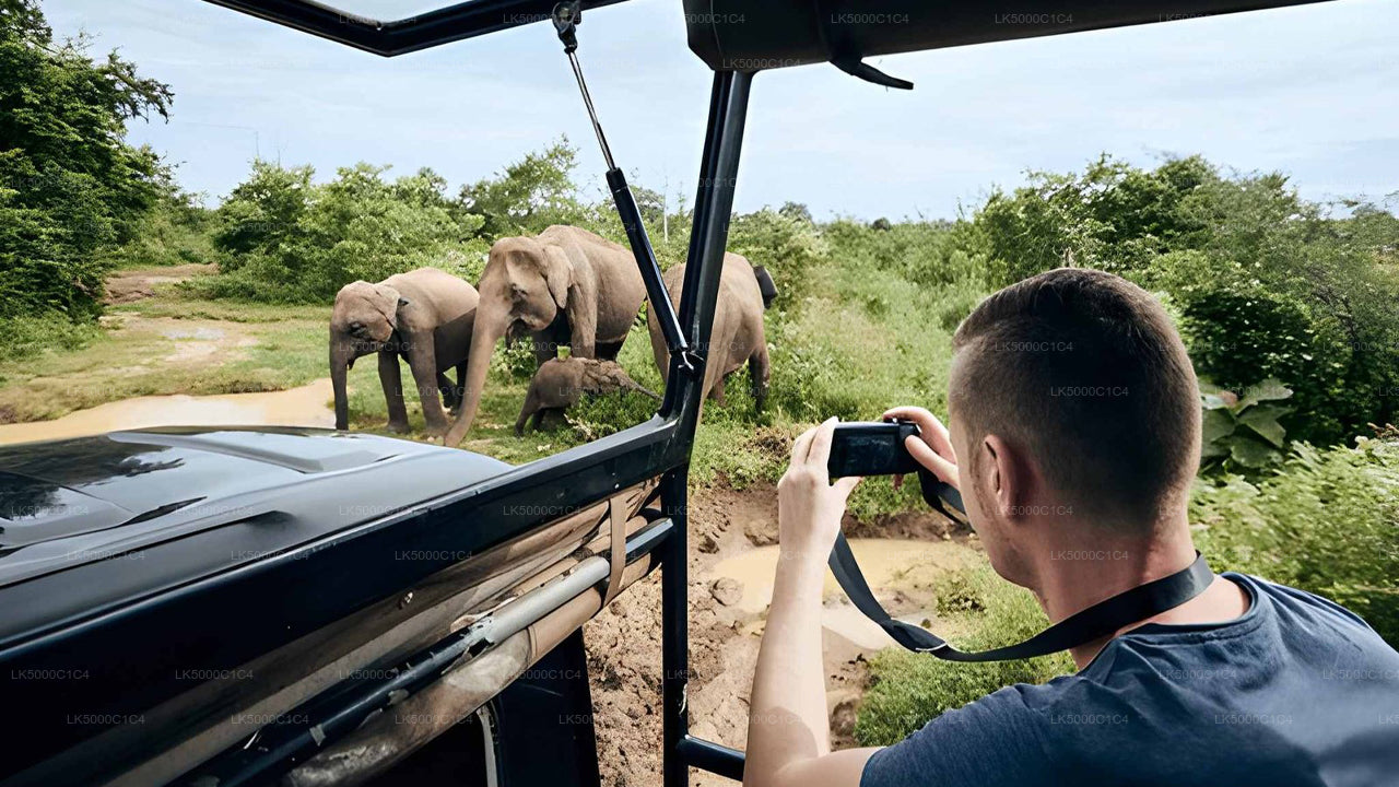 උඩවලව සෆාරි සමඟ ඇල්ල සිට හිරිකැටිය දක්වා පෞද්ගලික චාරිකාව