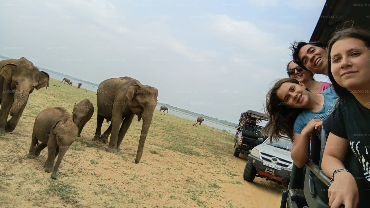 උඩවලව සෆාරි සමඟ ඇල්ල සිට හිරිකැටිය දක්වා පෞද්ගලික චාරිකාව