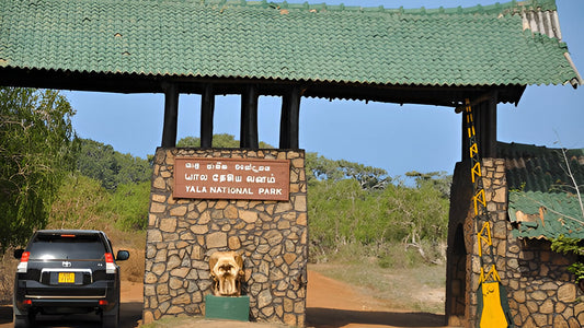 Entrance to Tala National Park with a stone archway and vehicle passing through.
