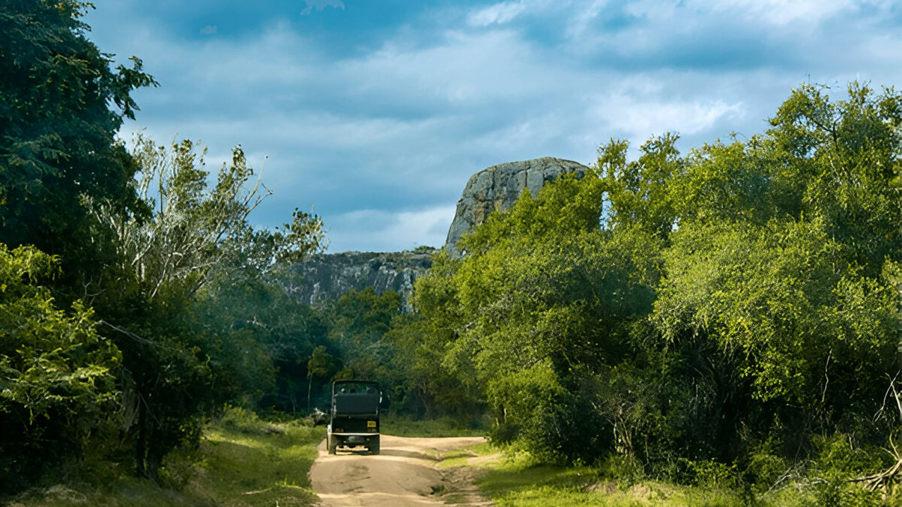 යාල ජාතික වනෝද්‍යානය (5 වන කොටස) සදාචාරාත්මක සෆාරි