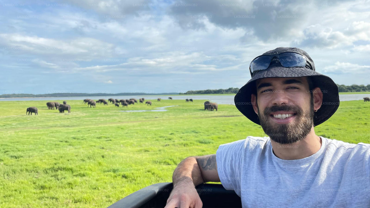 Man in a safari hat sitting in a vehicle with elephants in the background