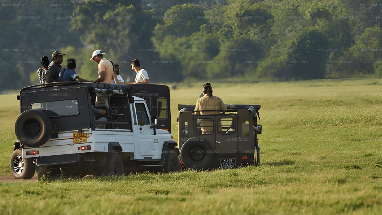 Two jeeps with people in a grassy field, likely on a safari or outdoor adventure.