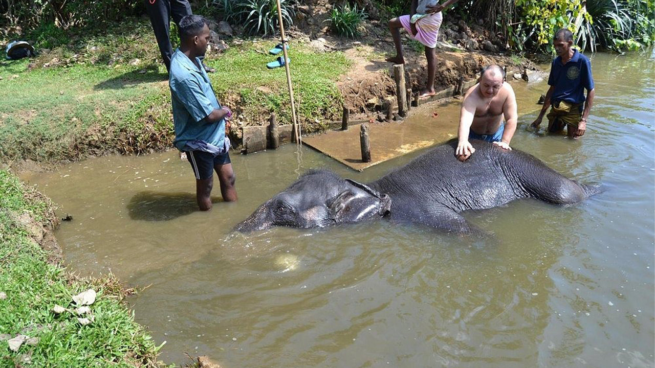 Elephant Riding From Boossa