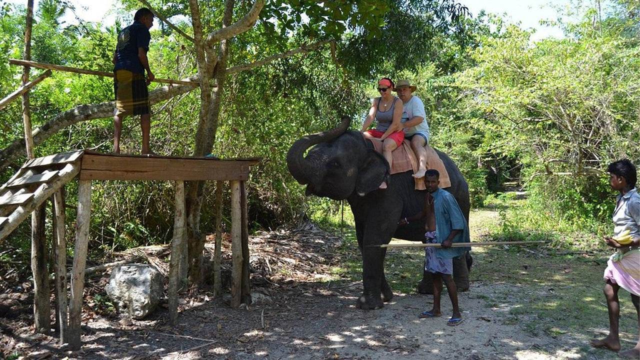 Elephant Riding From Boossa