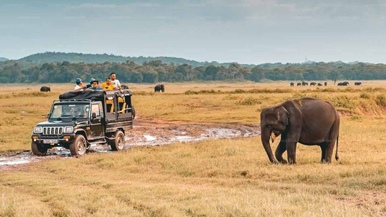 මාදුරු ඔය ජාතික වනෝද්‍යානය - ස්වභාව විද්‍යාඥයින් සමඟ පුද්ගලික සෆාරියක්