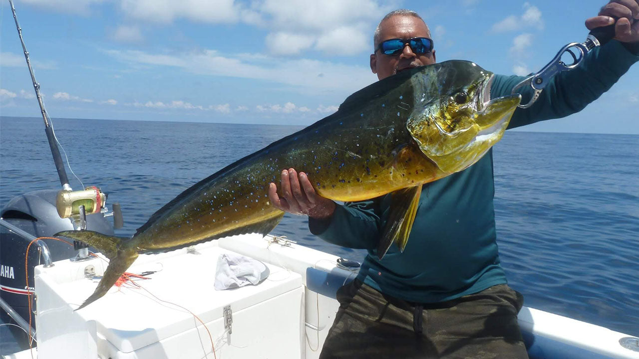 ගාල්ලේ සිට ට්‍රොලර් ධීවර චාරිකාව