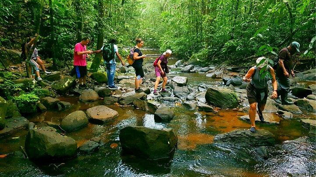 අහංගම සිට සිංහරාජ වැසි වනාන්තර දින චාරිකාව