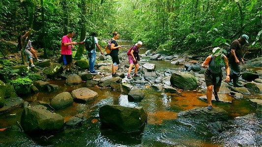අහංගම සිට සිංහරාජ වැසි වනාන්තර දින චාරිකාව