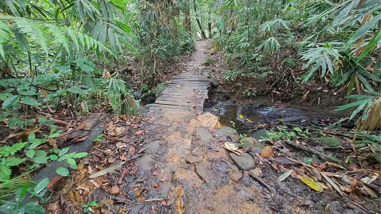 අහංගම සිට සිංහරාජ වැසි වනාන්තර දින චාරිකාව