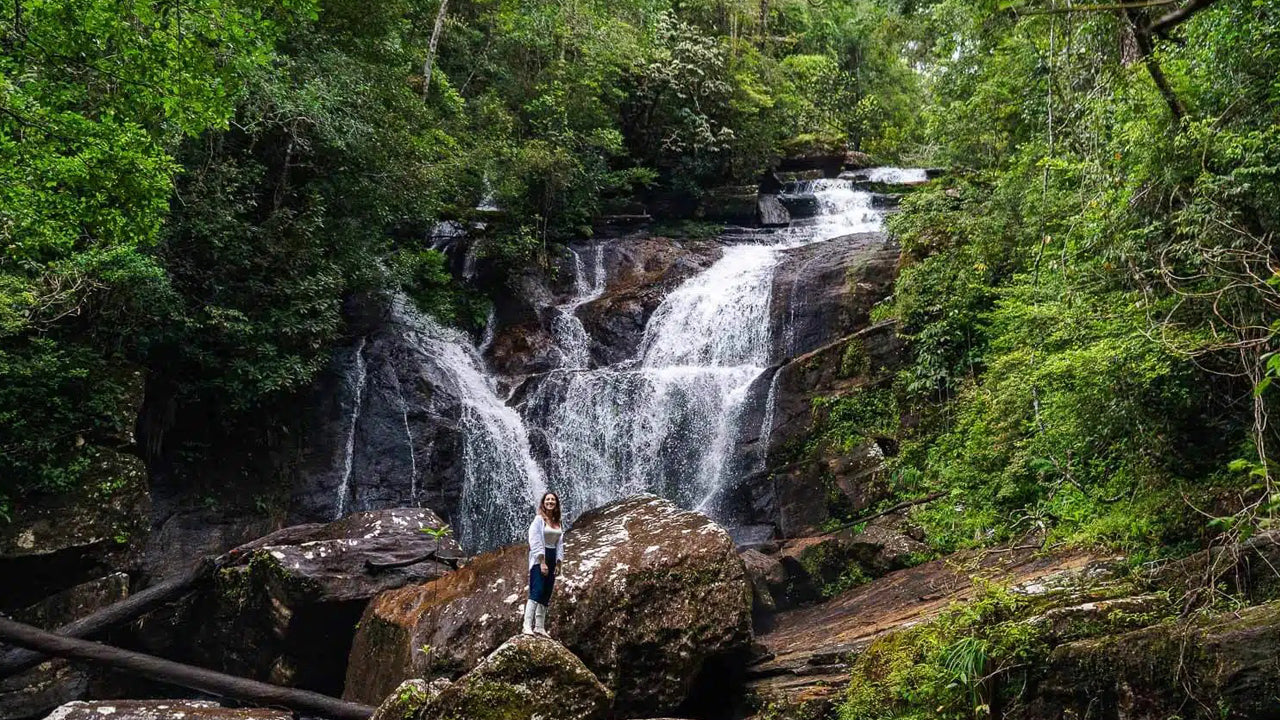 අහංගම සිට සිංහරාජ වැසි වනාන්තර දින චාරිකාව