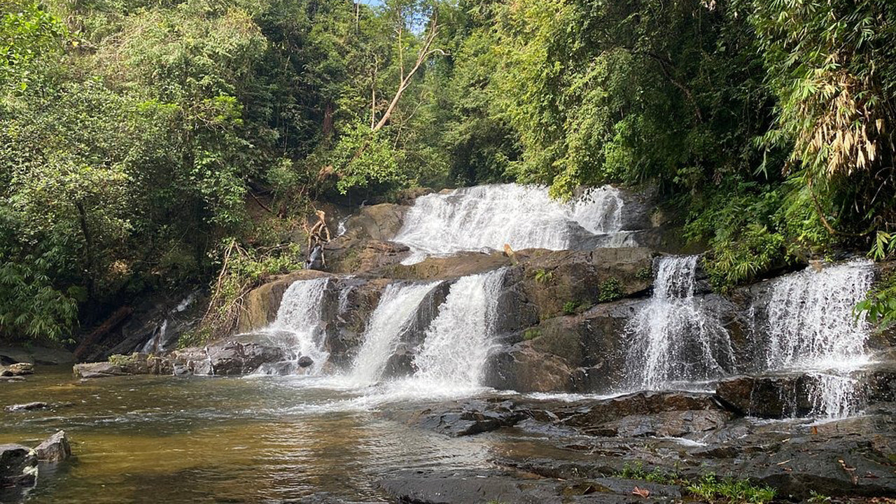 අහංගම සිට සිංහරාජ වැසි වනාන්තර දින චාරිකාව