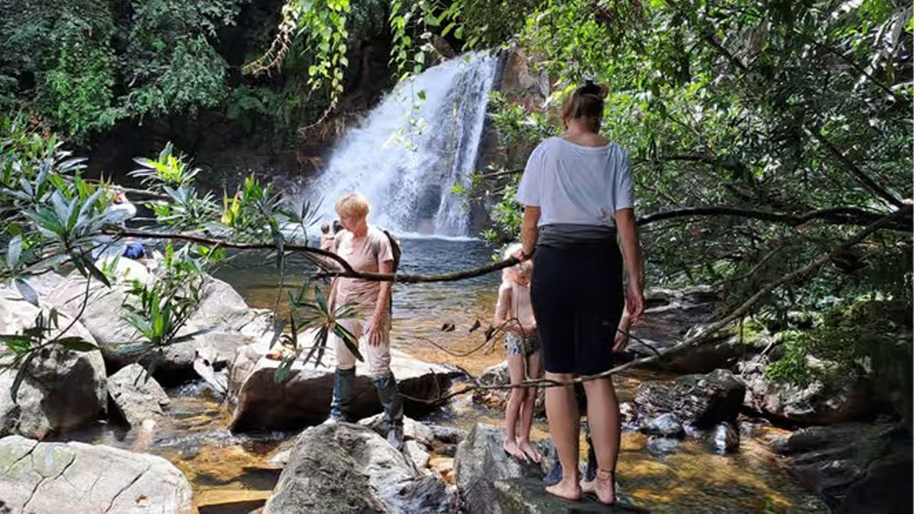 අහංගම සිට සිංහරාජ වැසි වනාන්තර දින චාරිකාව