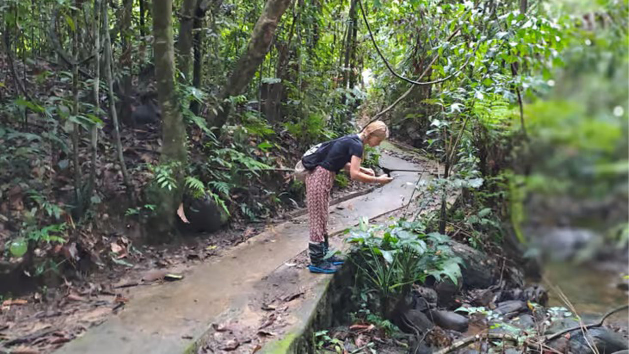 අහංගම සිට සිංහරාජ වැසි වනාන්තර දින චාරිකාව